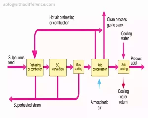 Contact Process