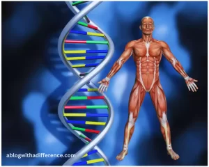 Protein Sequence