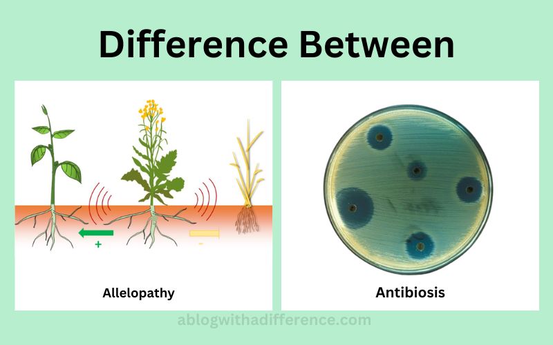 Allelopathy and Antibiosis