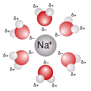 Aqueous Solution