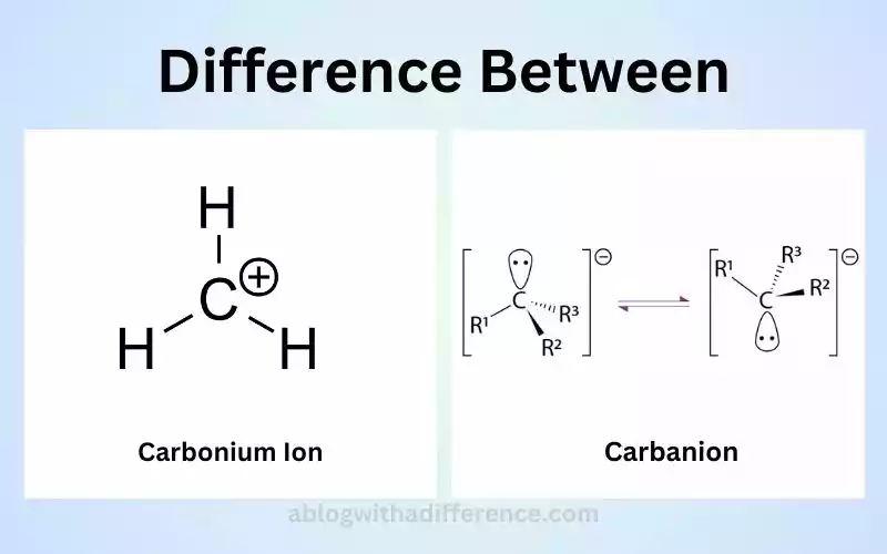 Carbonium Ion and Carbanion