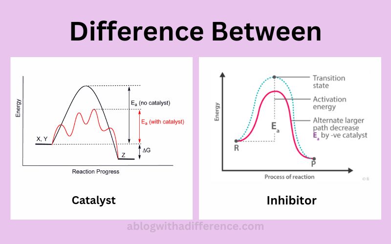 Catalyst and Inhibitor