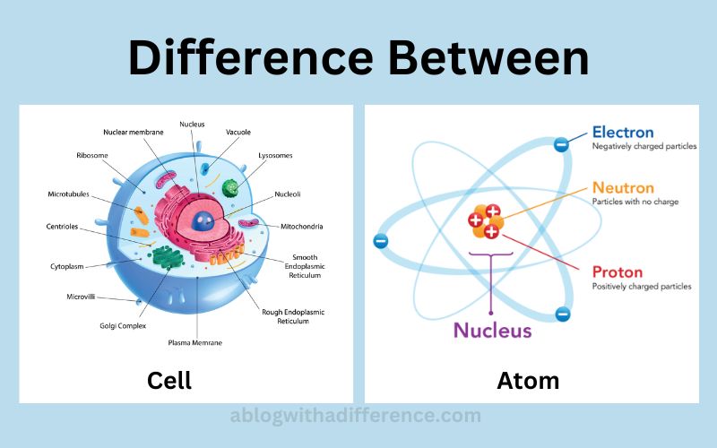 Cell and Atom