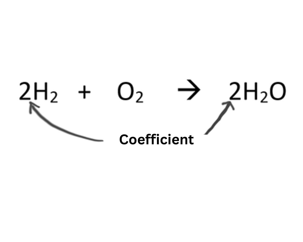 Coefficient and Subscript - The best 5 Amazing difference