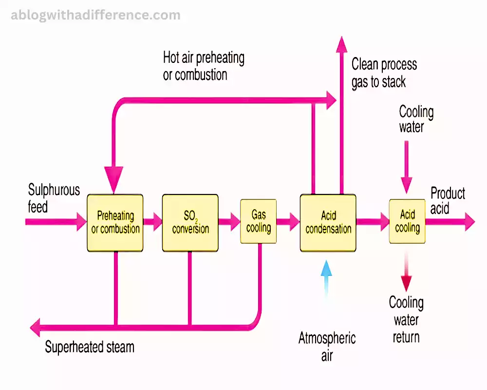 Contact Process