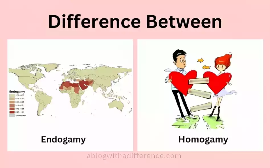 Difference Between Endogamy and Homogamy