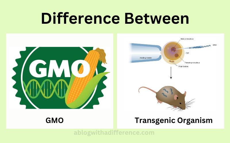 GMO and Transgenic Organism