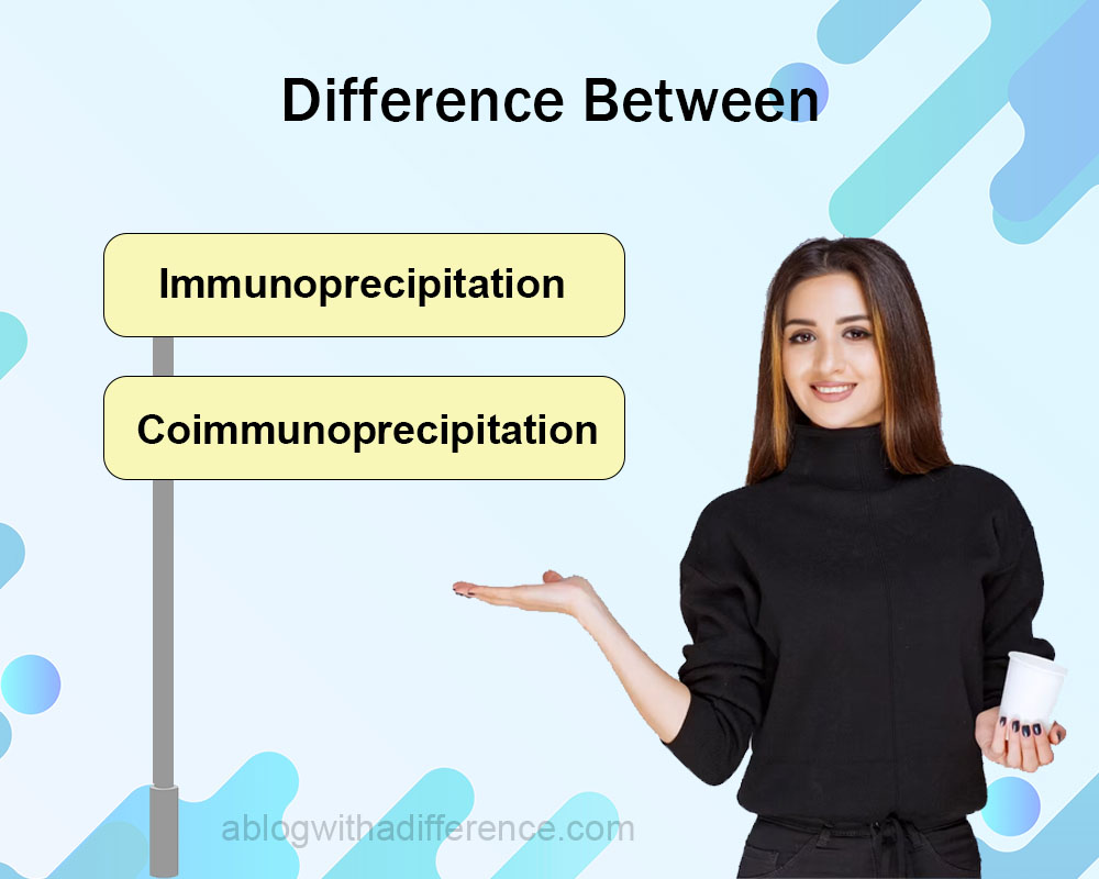 Immunoprecipitation and Coimmunoprecipitation