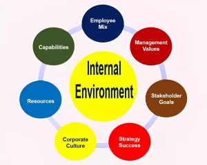 Internal Business Environment