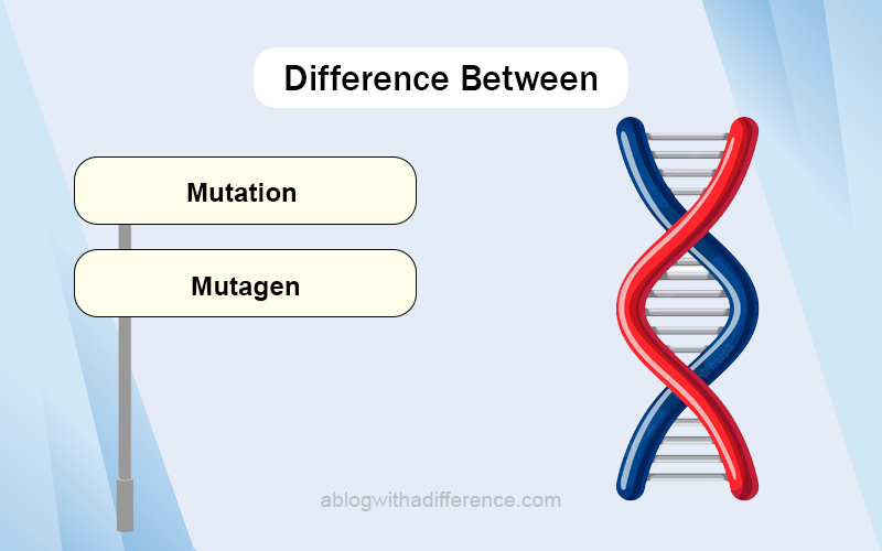 Mutation and Mutagen