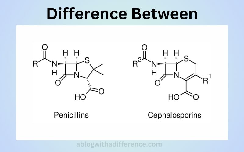 Penicillin and Cephalosporin 6 important Difference