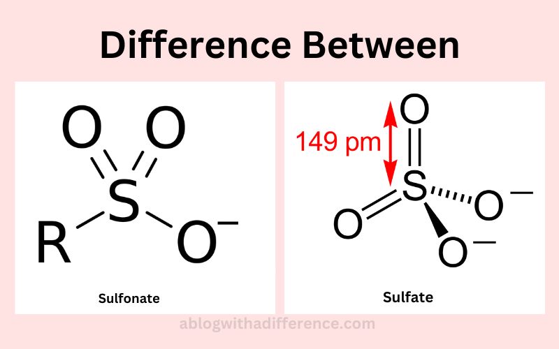 Difference Between Sulfonate and Sulfate
