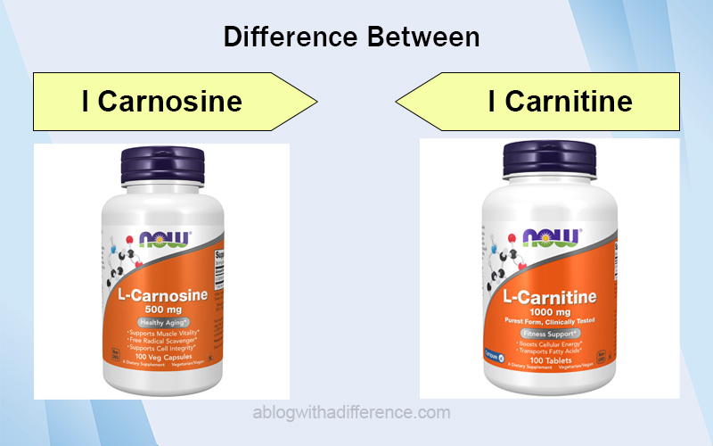 Difference Between l Carnosine and l Carnitine