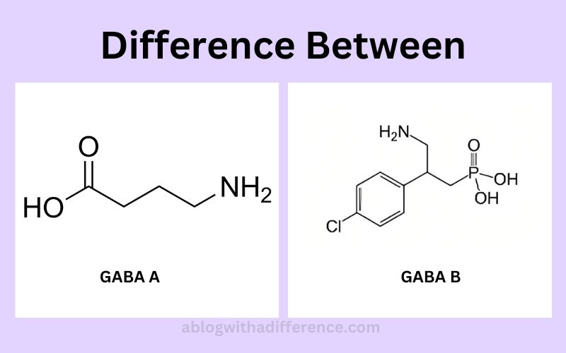GABA A and GABA B