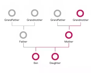 Maternal DNA Testing