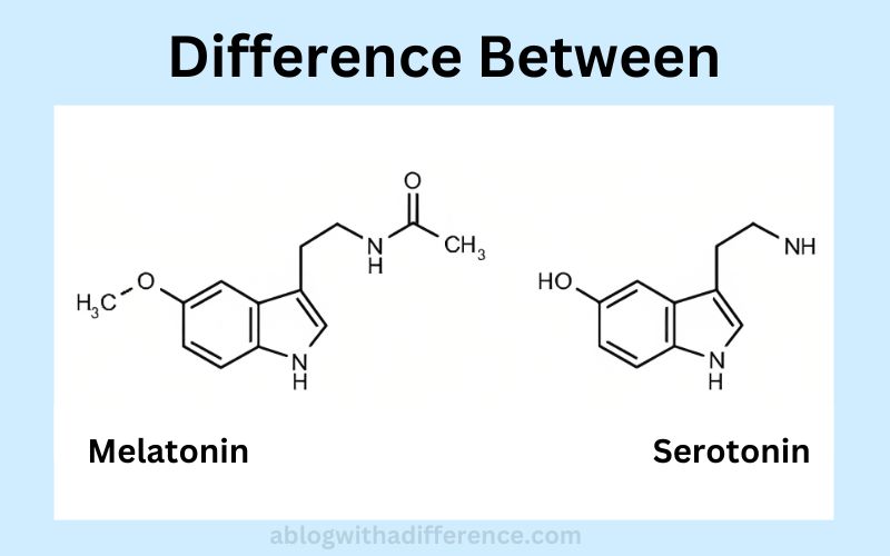 Melatonin and Serotonin