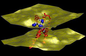 Neutron Diffraction