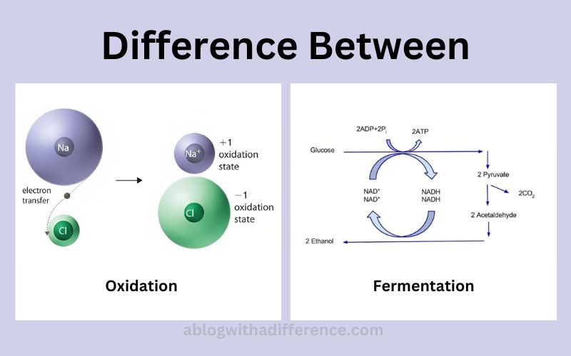 Oxidation and Fermentation