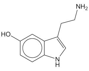 Serotonin