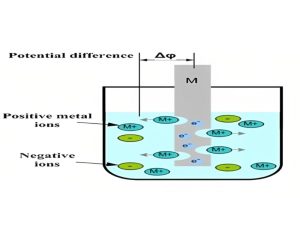 Single Electrode Potential