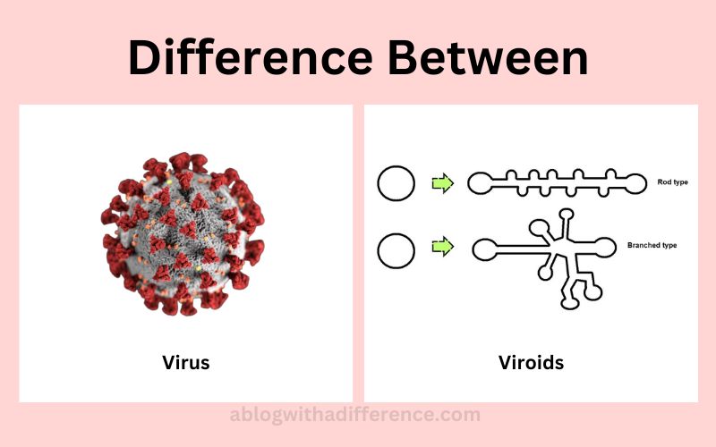 Virus and Viroids