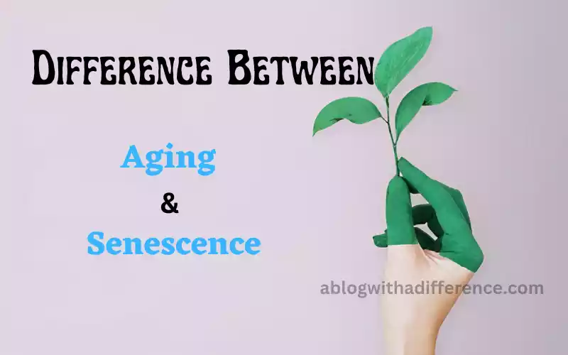 Aging and Senescence