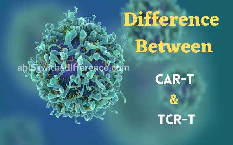 CAR-T and TCR-T