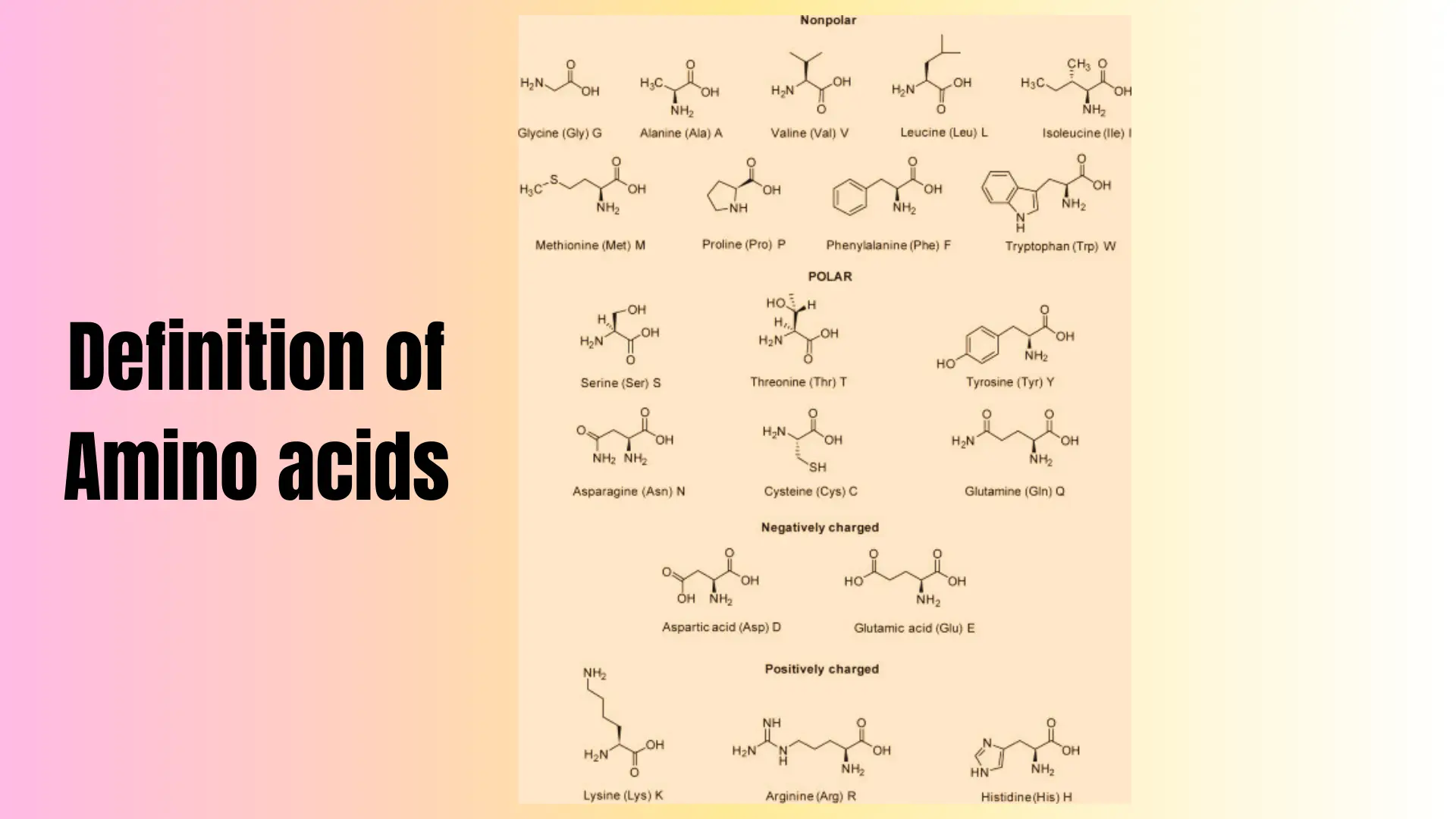 Definition-of-Amino-acids