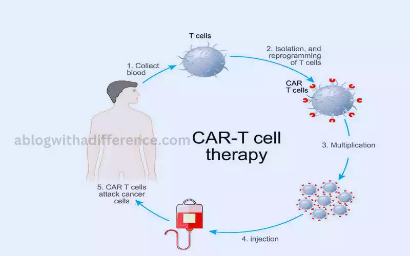 Definition of CAR-T cell therapy
