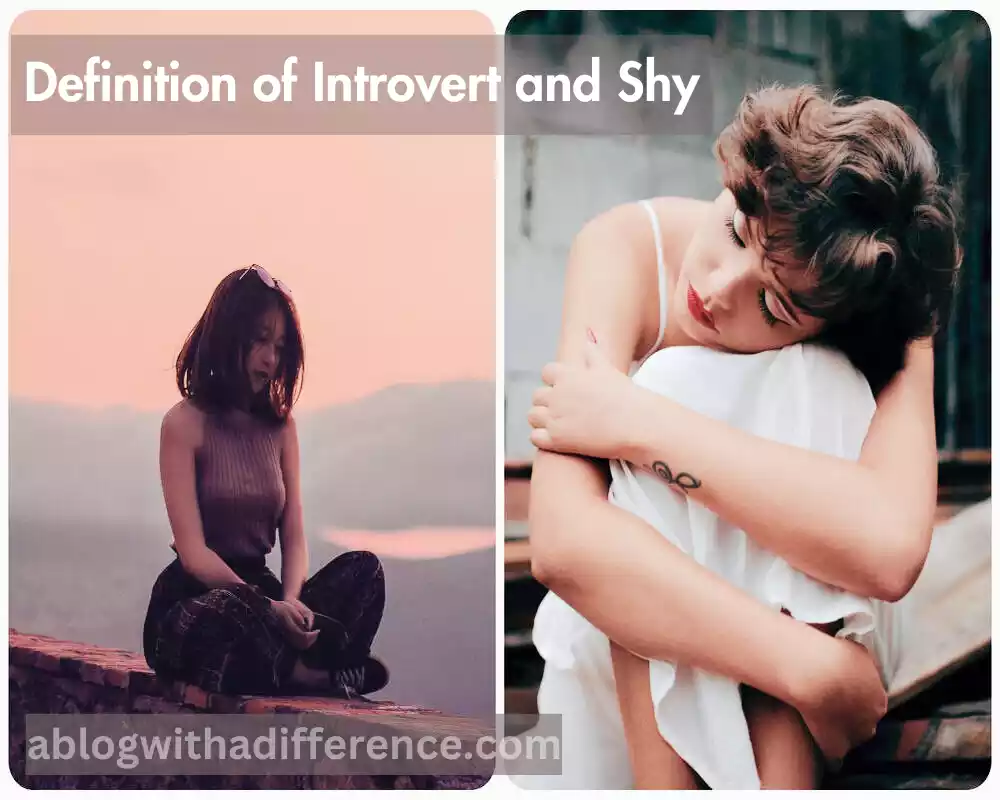 Definition of Introvert and Shy