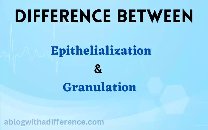 Epithelialization and Granulation