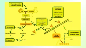 Glycation-and-Glycosylation