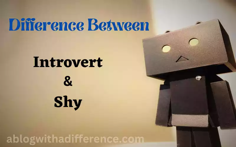 Introvert and Shy 5 great difference you should know