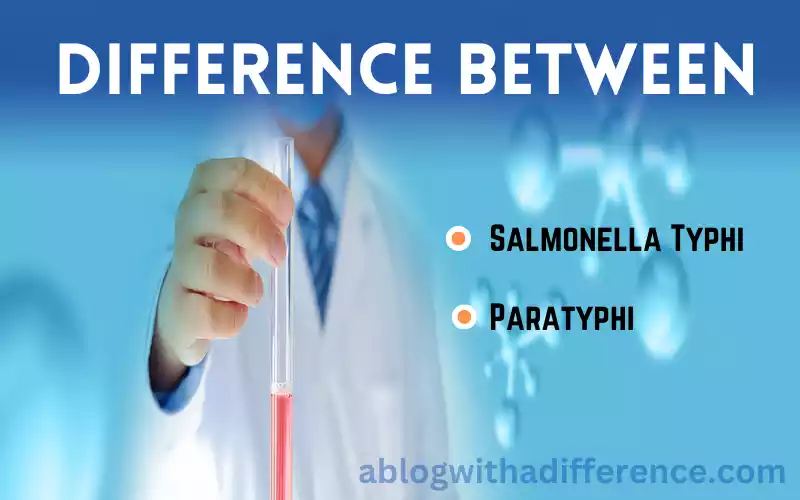 Salmonella Typhi and Paratyphi
