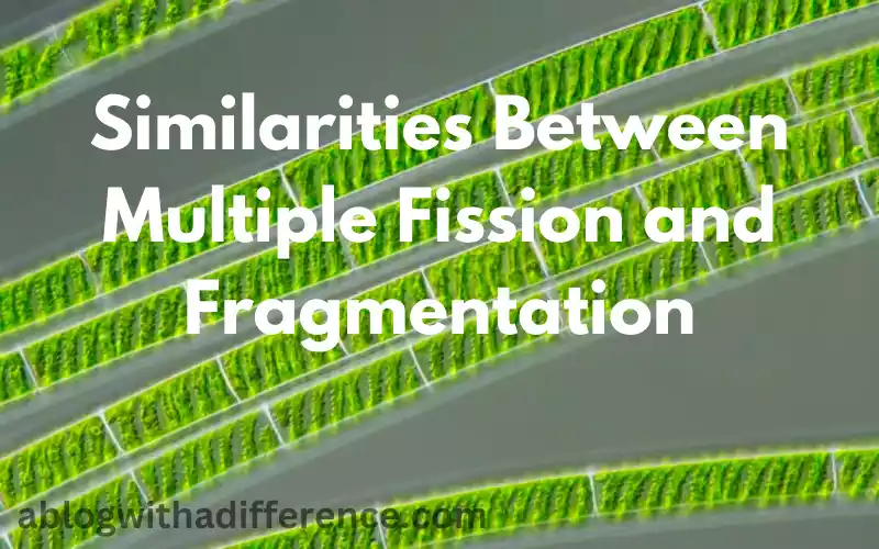 Similarities Between Multiple Fission and Fragmentation