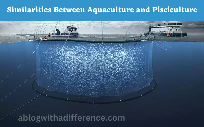 Similarities between Aquaculture and Pisciculture