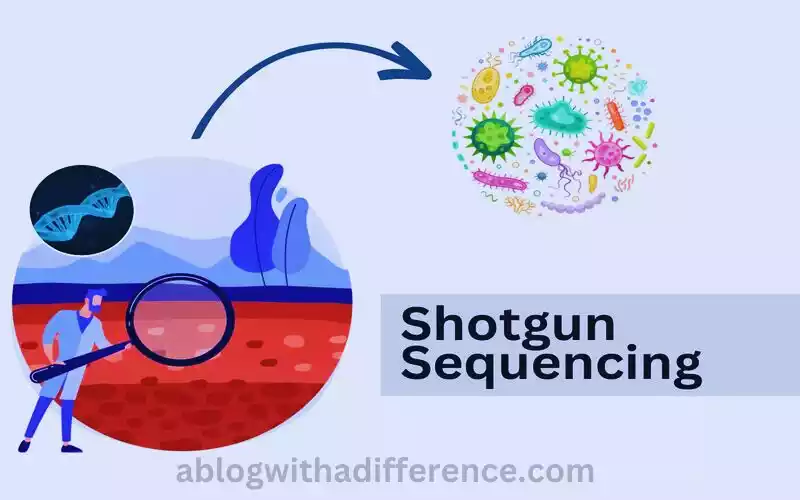 What is Shotgun Sequencing?