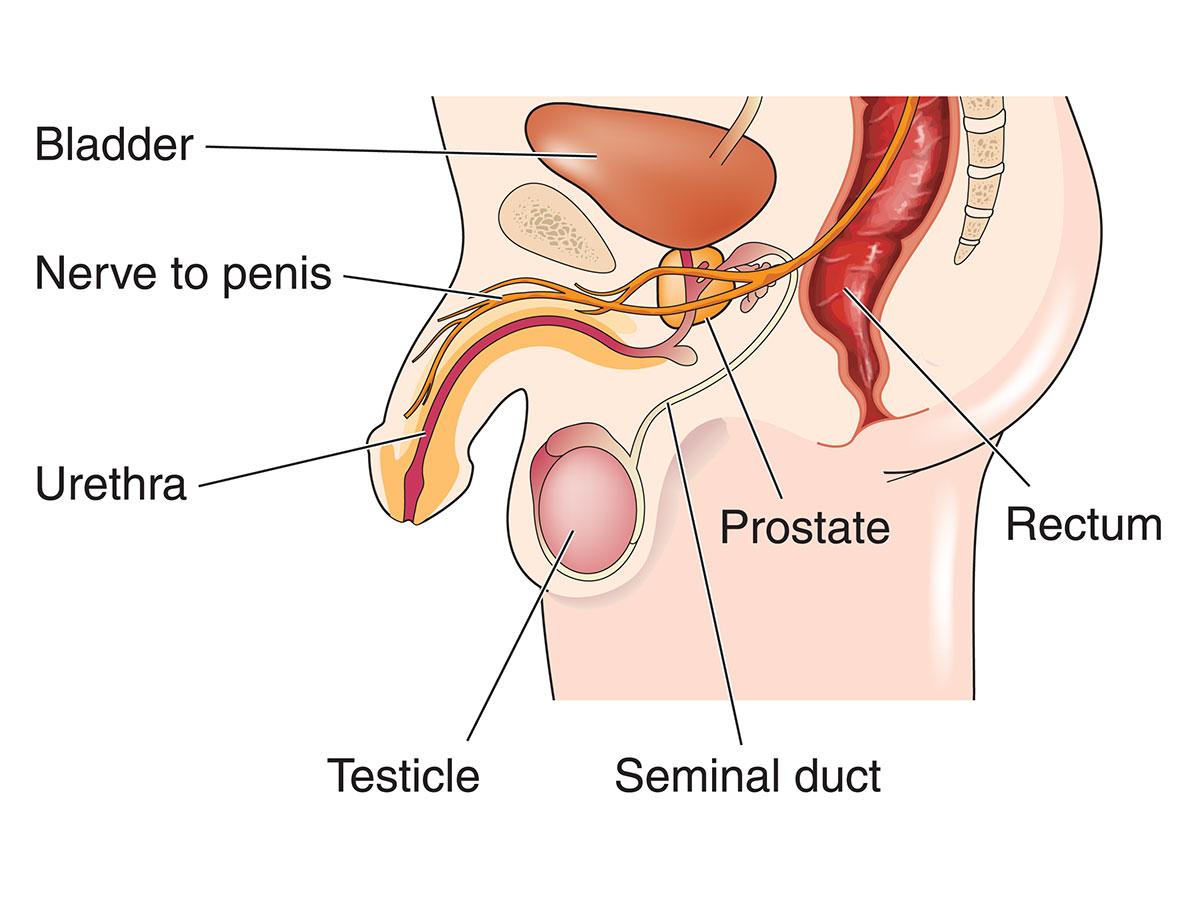 Urethral Stricture