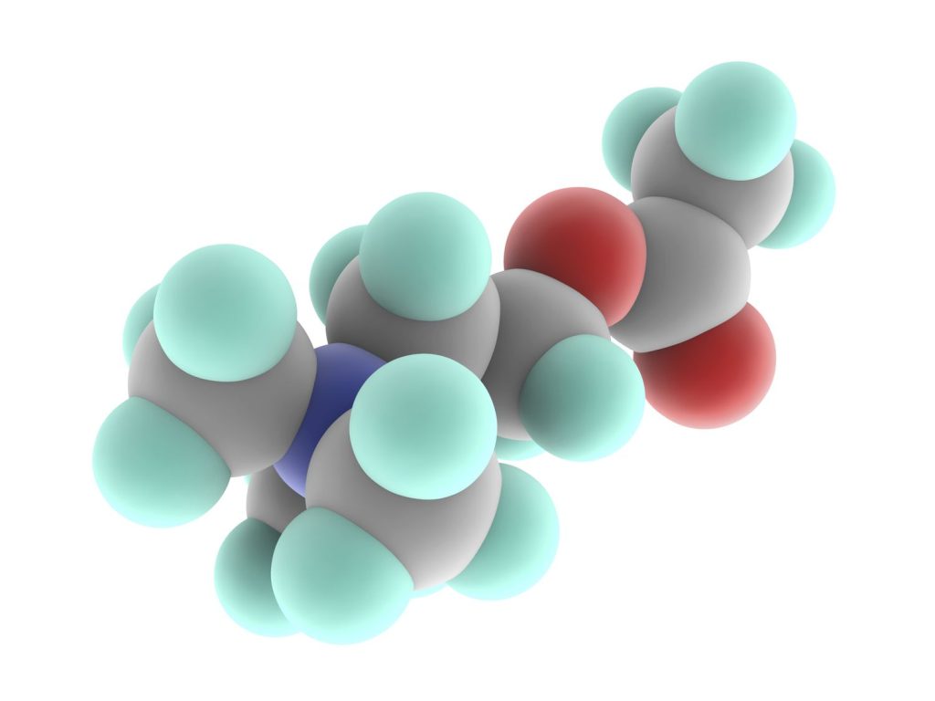 Acetylcholine