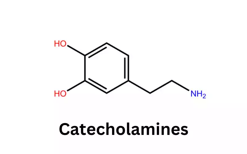 Catecholamines