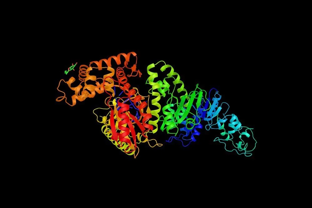 Taq polymerase