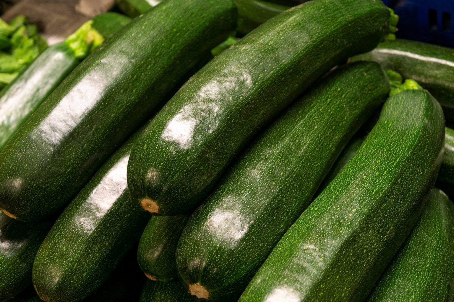 Difference Between Squash vs Zucchini A Blog With A Difference