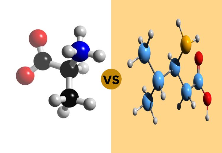 Difference Between Alpha and Beta Carbon