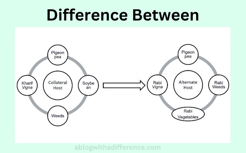 Difference Between Alternate Host and Collateral Host