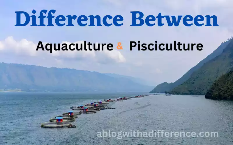 Aquaculture and Pisciculture 6 solid and best difference don’t you know