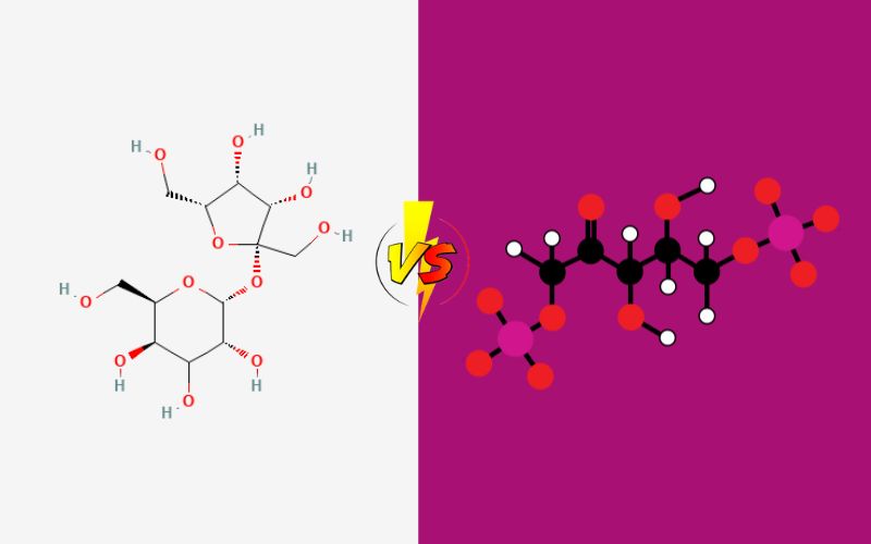 Difference Between Bisphosphate and Biphosphate