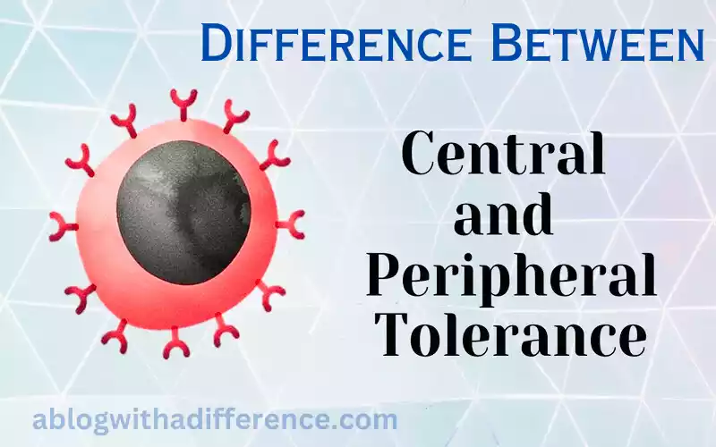 Central and Peripheral Tolerance 5 solid and best difference don’t you know