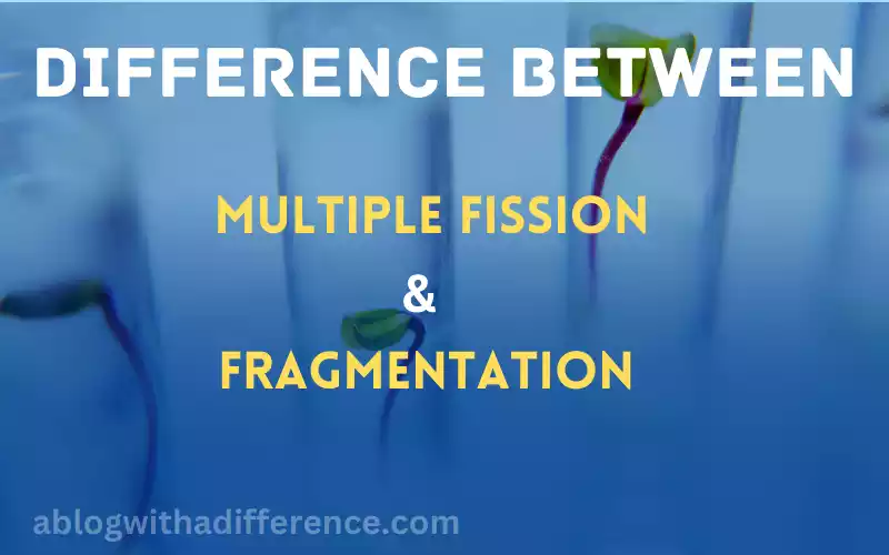 Multiple Fission and Fragmentation 8 awesome difference you will be surprised