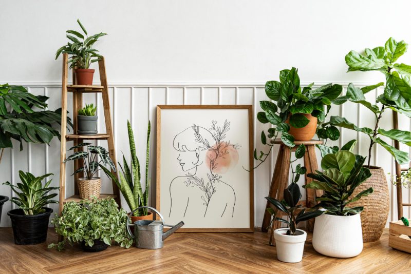 17 Stunning Variegated Plants to Transform Your Space