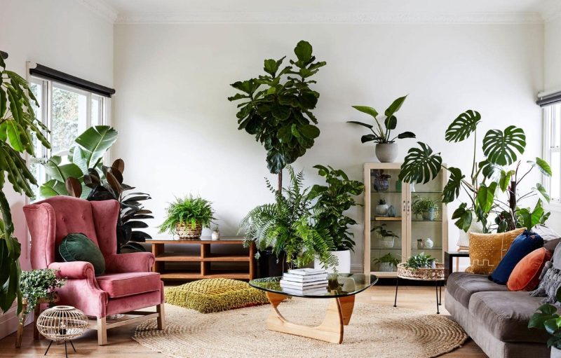 21 Creative Plant Ideas for Living Room Zoning